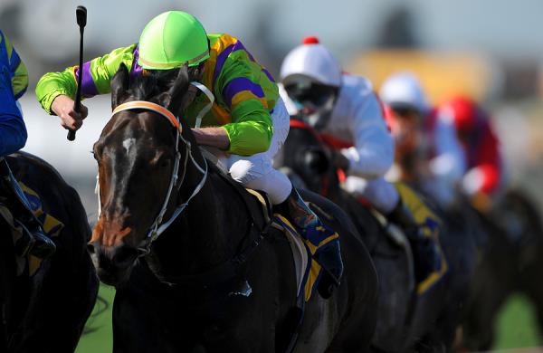 am-annual-returns-horse-race.jpg